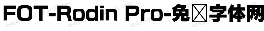FOT-Rodin Pro字体转换
